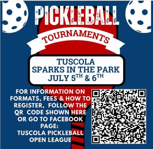 Pickleball Flyer