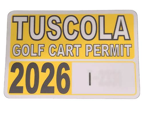 2026 golf cart 1